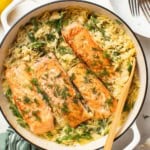 Salmon in a creamy orzo with fresh asparagus and herbs.