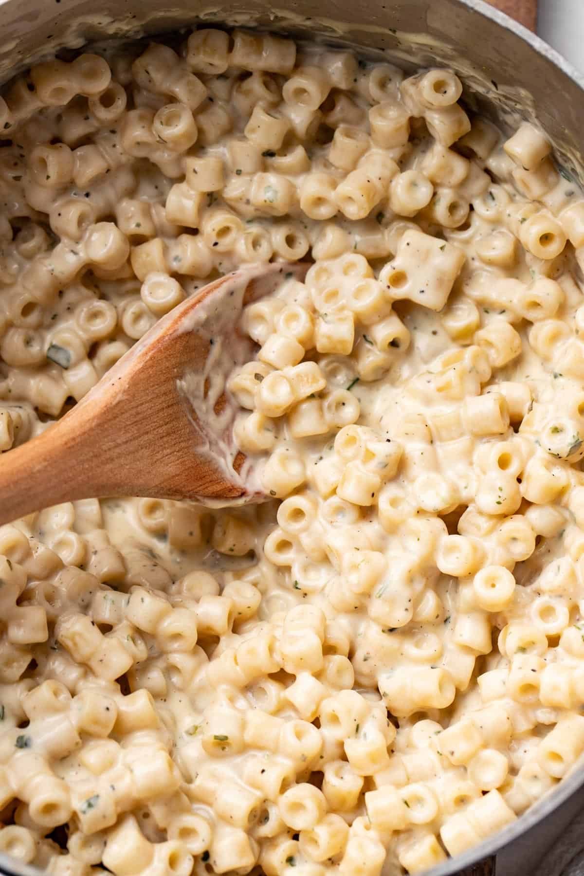 Ditalini pasta in a creamy sauce on top of a wood spoon.