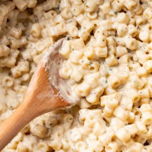 A wood spoon scooping into ditalini with a creamy sauce.