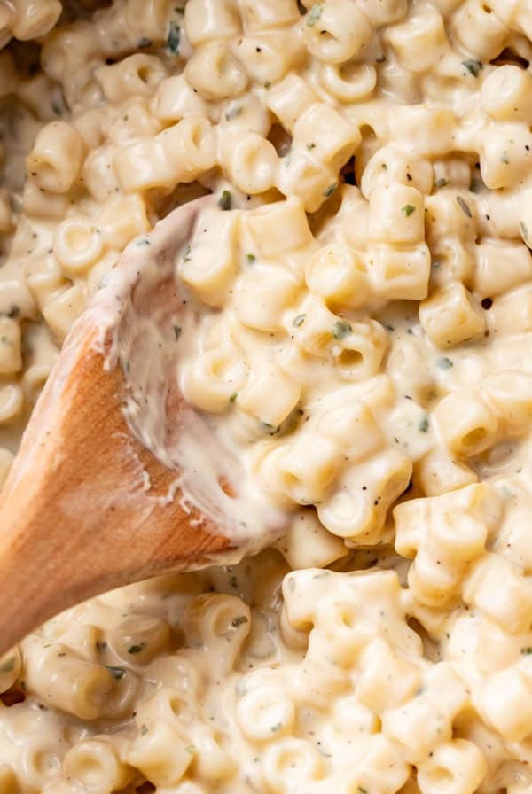 A wood spoon scooping into ditalini with a creamy sauce.